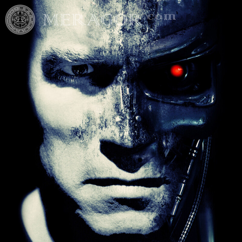 Terminator avatar picture From films Robots