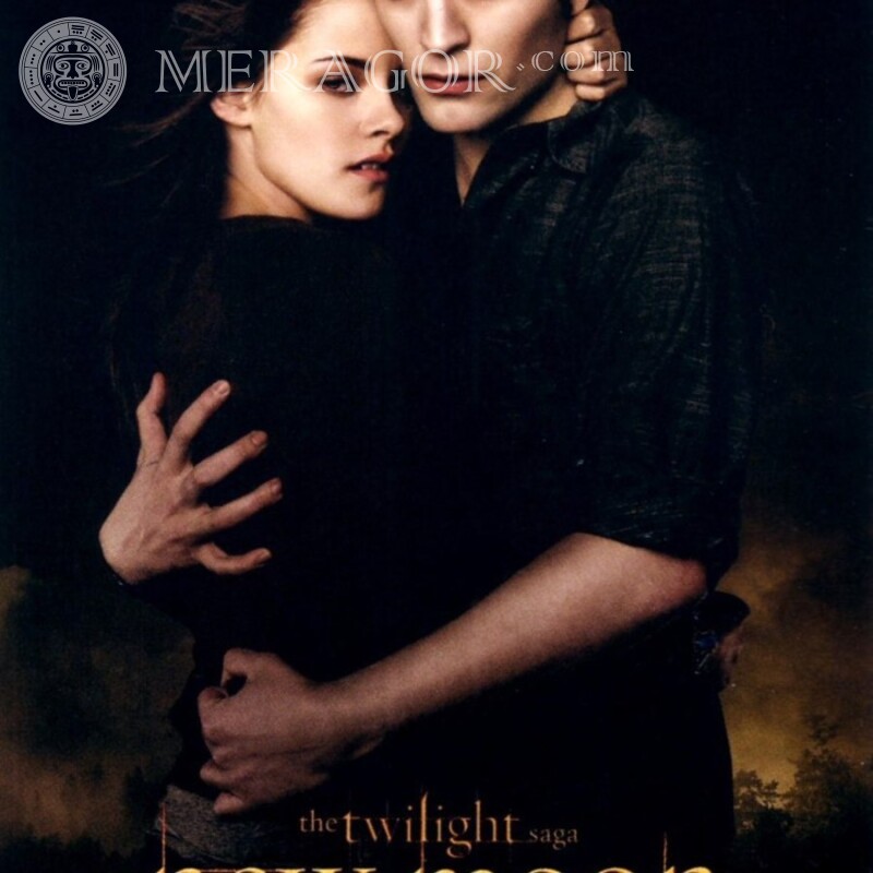 Der Twilight Saga Avatar Aus den Filmen Mann mit Freundin