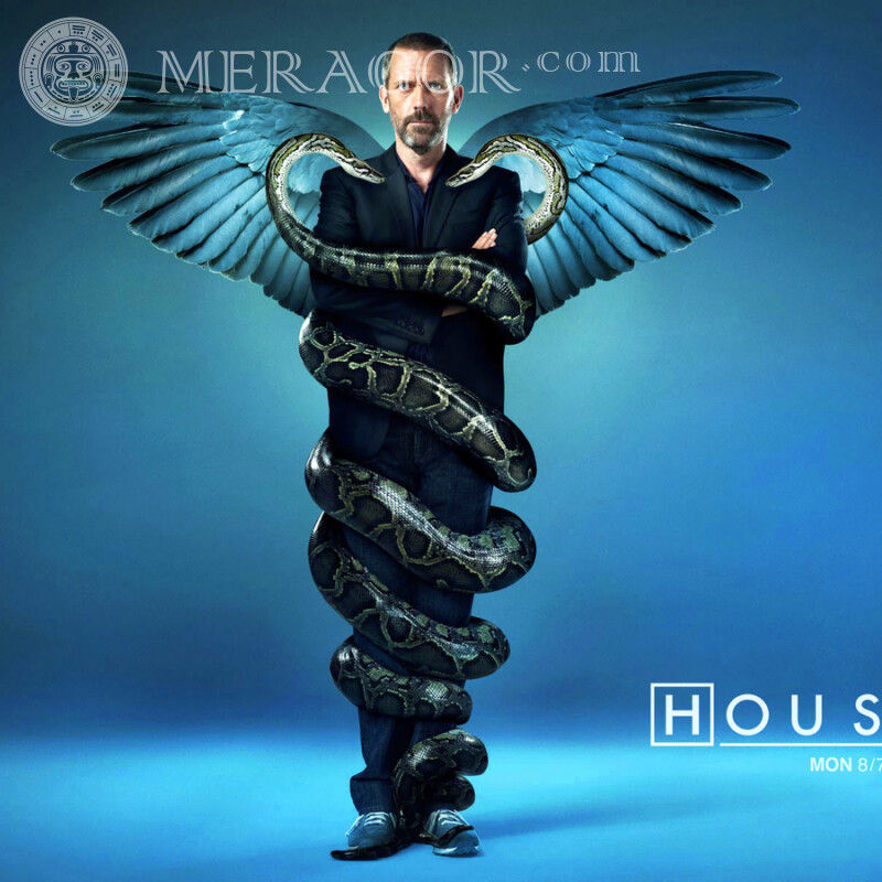 Avatar do Dr House do filme Dos filmes Homens