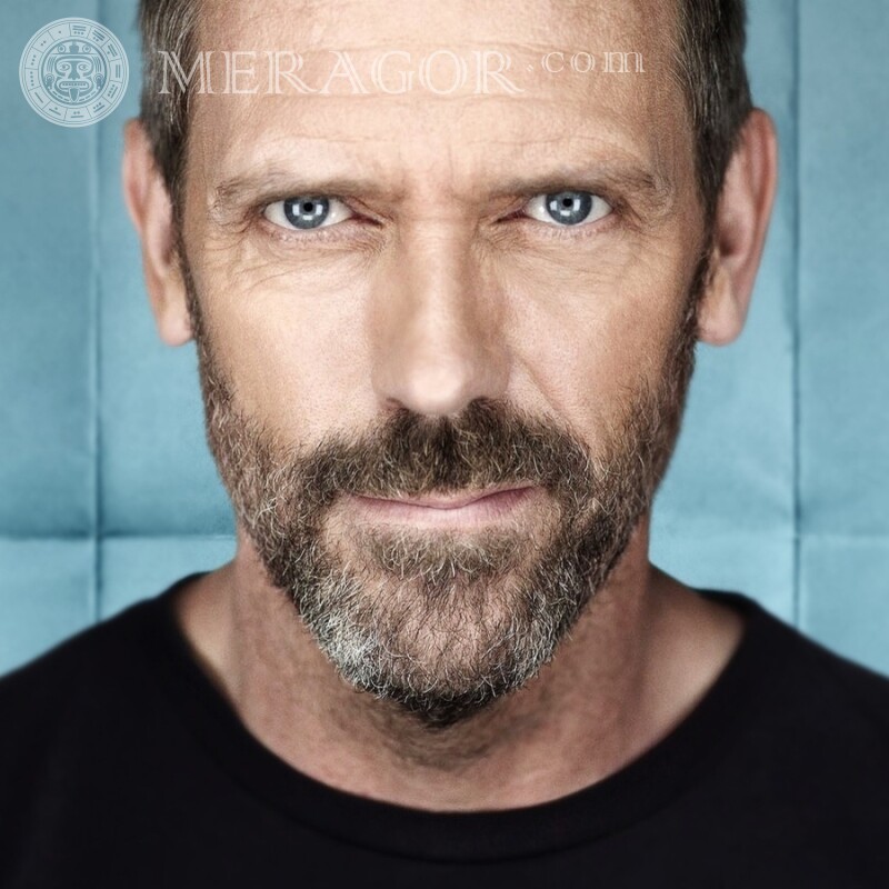 Hugh Laurie Foto auf Avatar Prominente Für VK Gesichter, Porträts Gesichter von Männern