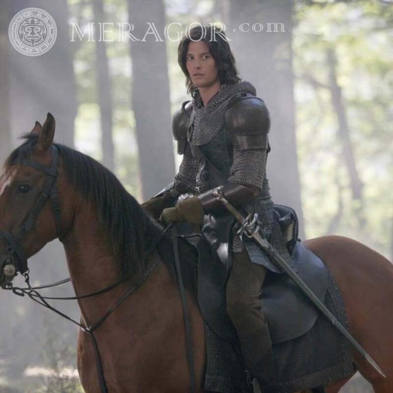 The Chronicles of Narnia knight on horseback avatar From films With weapon