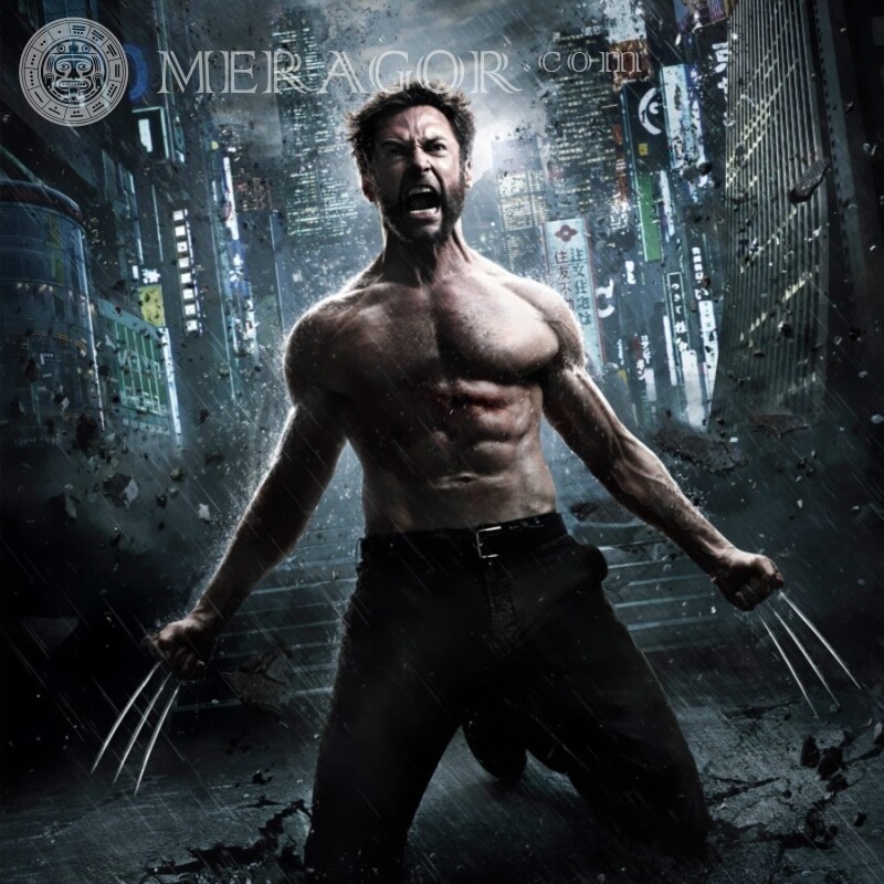 X-Men Wolverine auf Avatar Aus den Filmen