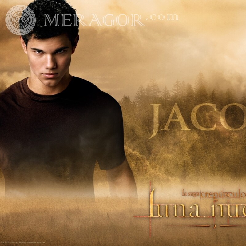 Jacob Black avatar picture From films