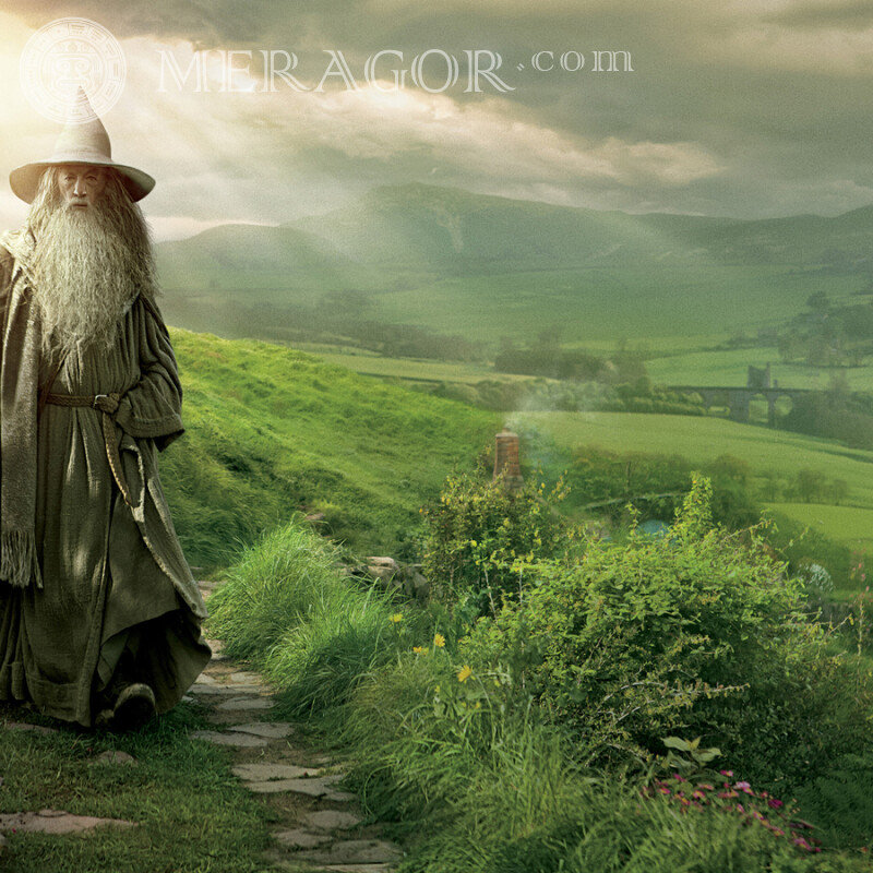 Avatar of Gandalf download From films
