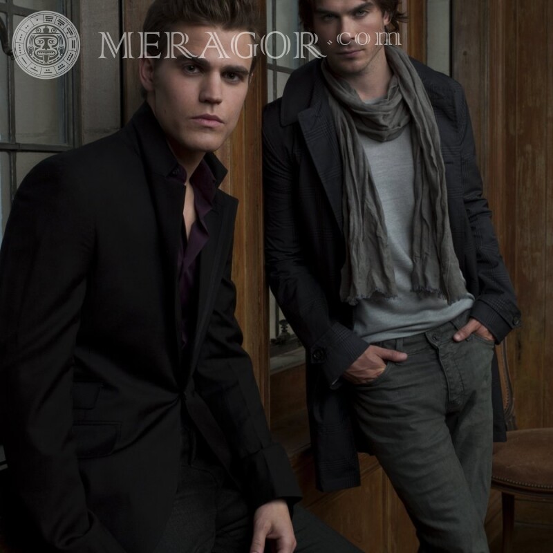 Stefan and Damon Salvatore ava From films Celebrities