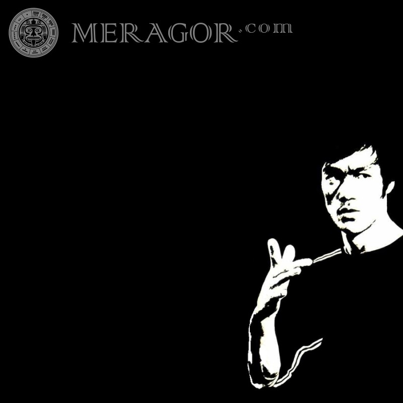 Photo de Bruce Lee sur avatar | 0 Célébrités Asiatiques Animé, dessin Visages, portraits