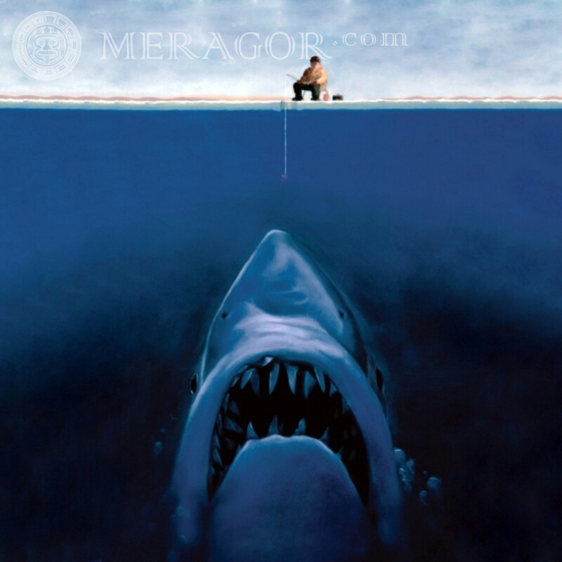 Рыбак и акула картинка на аву Юмор Аниме, рисунок