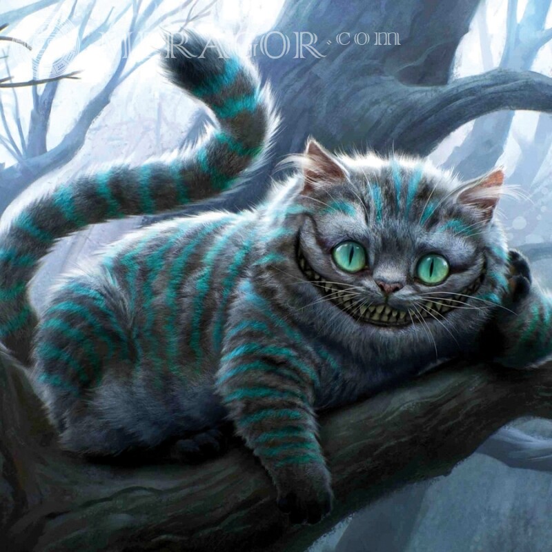 Alice no avatar do gato do país das maravilhas Dos filmes Gatos