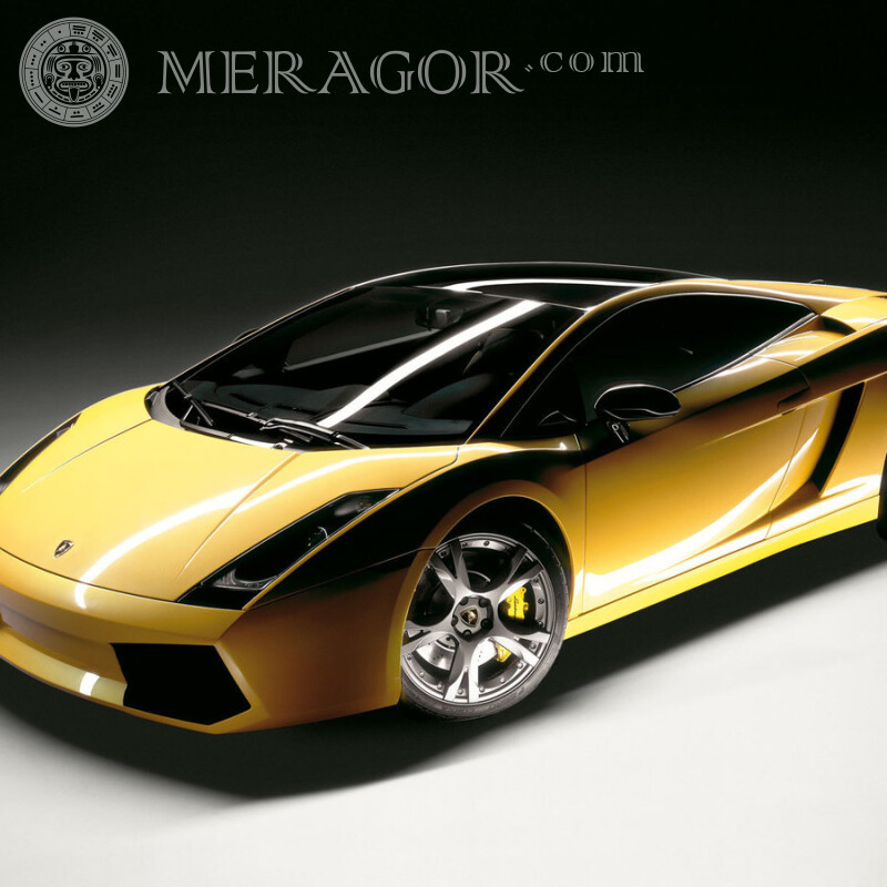 Foto de Lamborghini en avatar guy Autos Transporte
