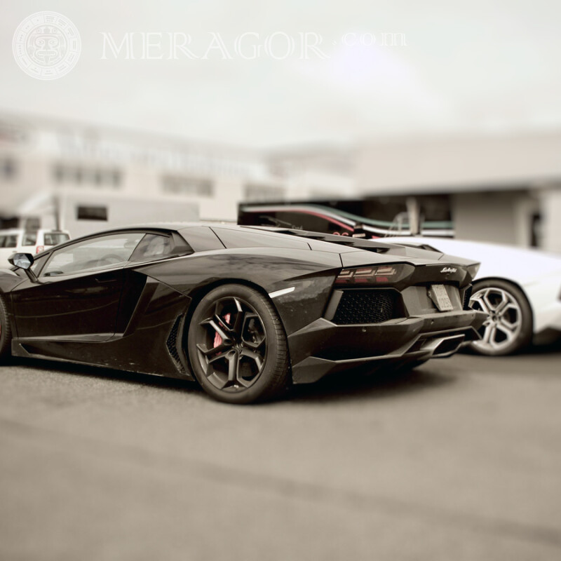 Lamborghini скачати на аватарку Автомобілі Транспорт