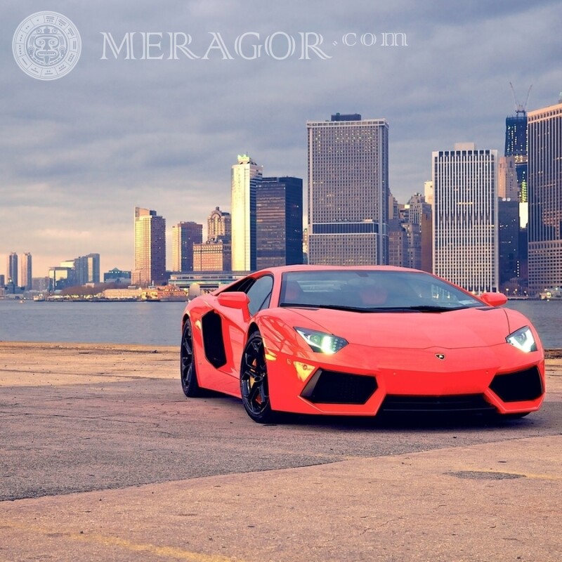 Download photo Lamborghini cars Cars Transport