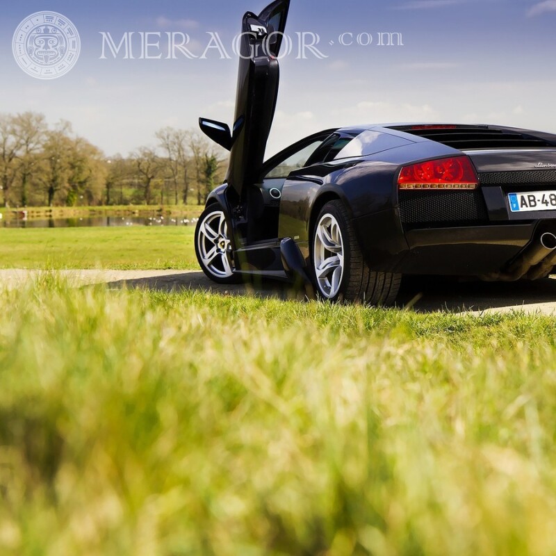 Foto de perfil de coche deportivo Lamborghini Autos Transporte