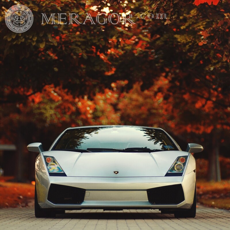 Photo d'une Lamborghini sportive sur la photo de profil de TikTok Les voitures Transport