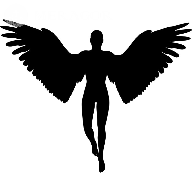 Avatar de mec ange Angels Silhouette Noir et blanc