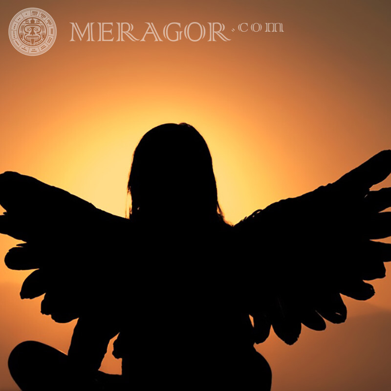 Ангел девушка на закате на профиль Ангелы Силуэт