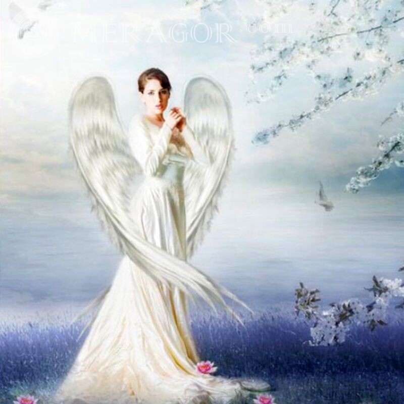 Женщина ангел картинка  Ангелы Аниме, рисунок