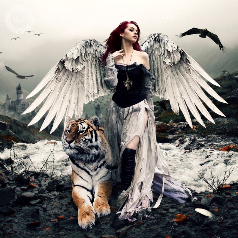 Картинка на аву девушка ангел и тигр Ангелы Аниме, рисунок Тигры