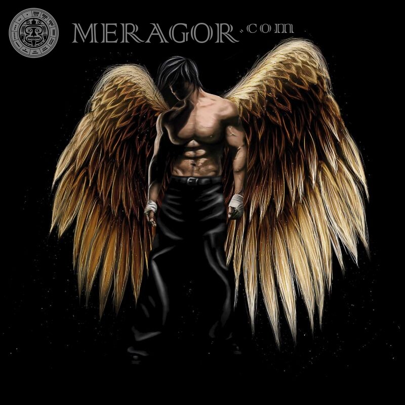 Foto de perfil oscuro ángel masculino Ángeles Anime, figura Chicos