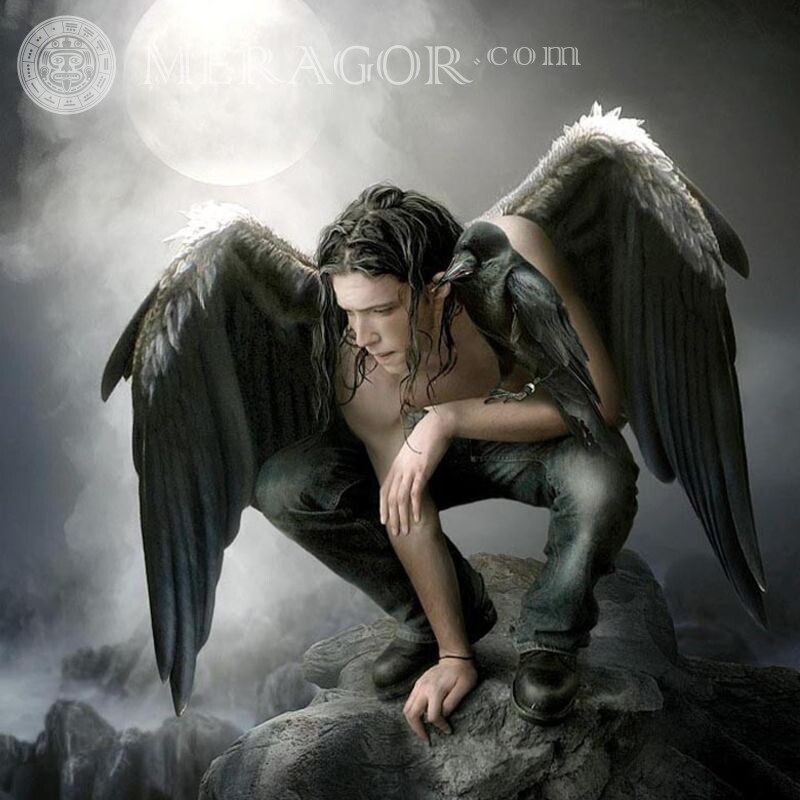 Homme ange noir sur avatar Angels Oiseaux