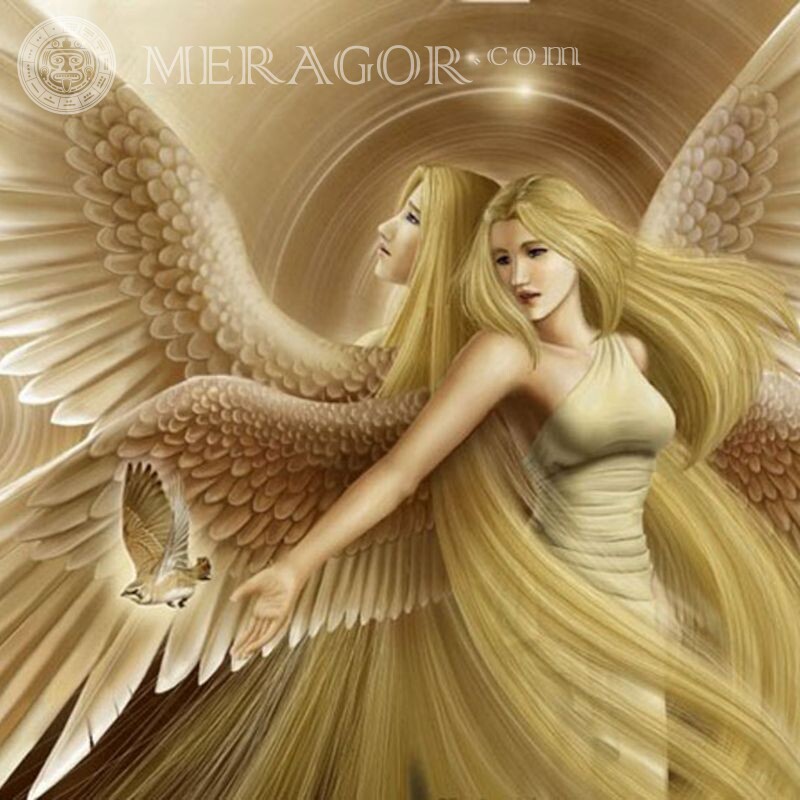 Аватар для женщины с ангелом Ангелы