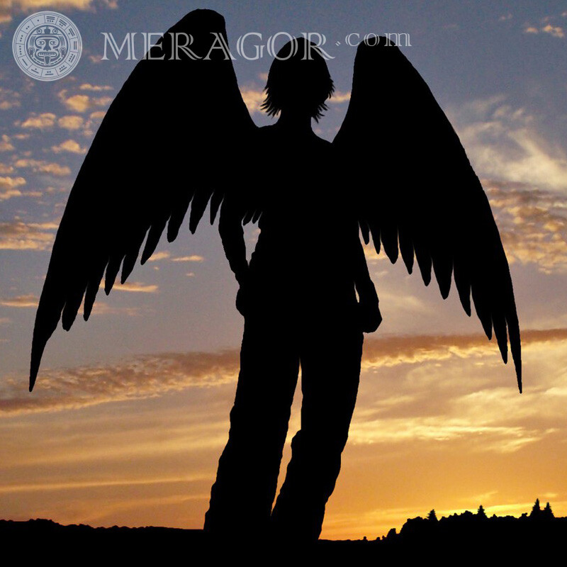 Angel sunset silhouette for social network Angels Silhouette