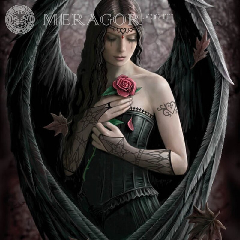 Ange fille aux ailes noires sur votre photo de profil Angels Animé, dessin