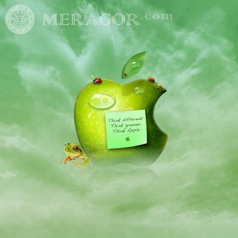 Картинка с яблоком Apple на аву скачать Logos Technik
