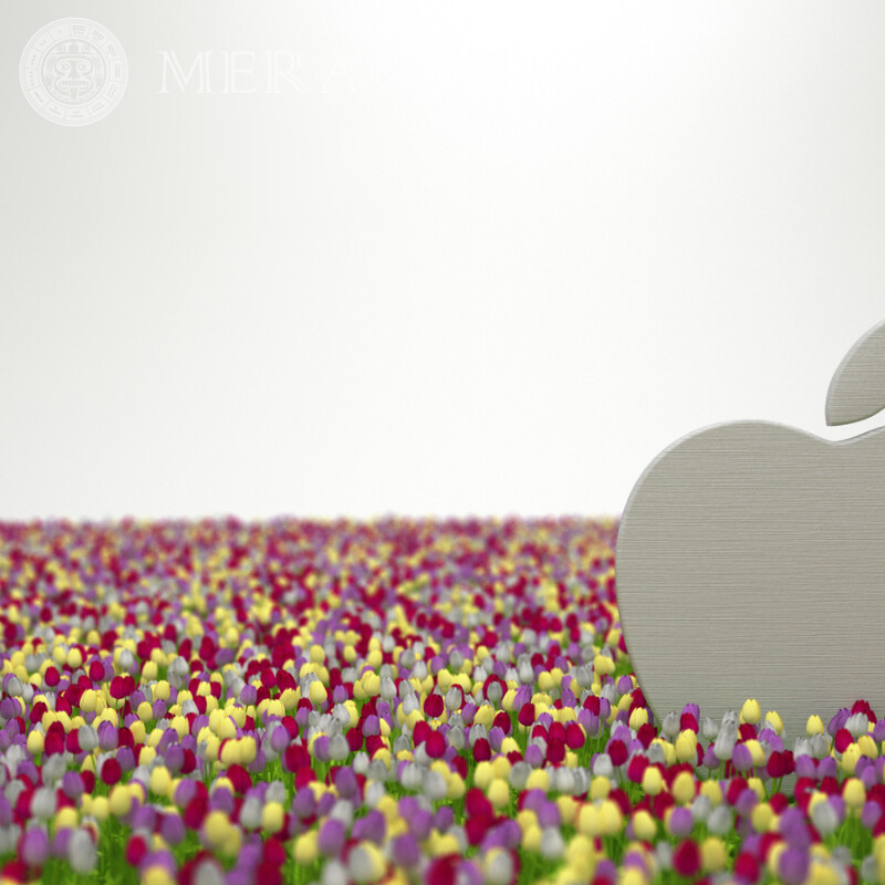 Картинка яблоком Apple на аву Logos Técnica