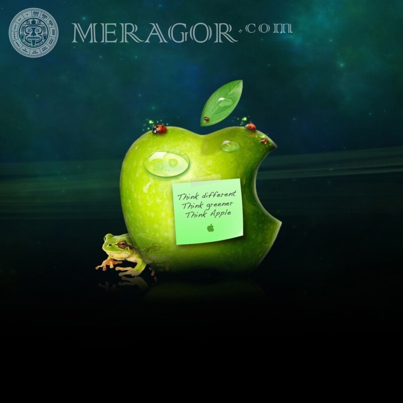 Яблоко Apple скачать на аву Логотипы Техника