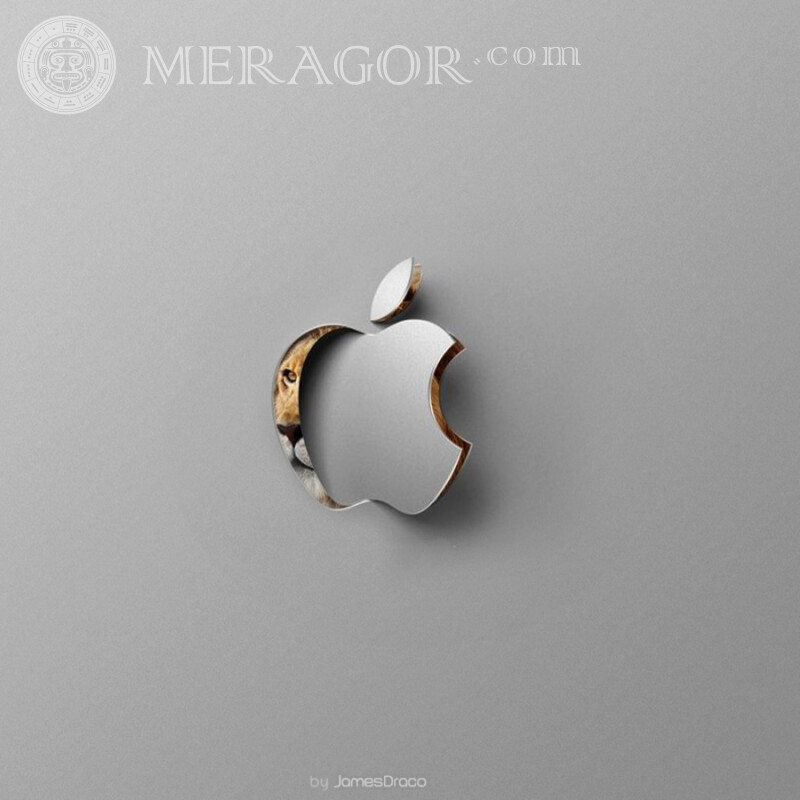 Apple яблоко логотип на аву скачать Logos Technique