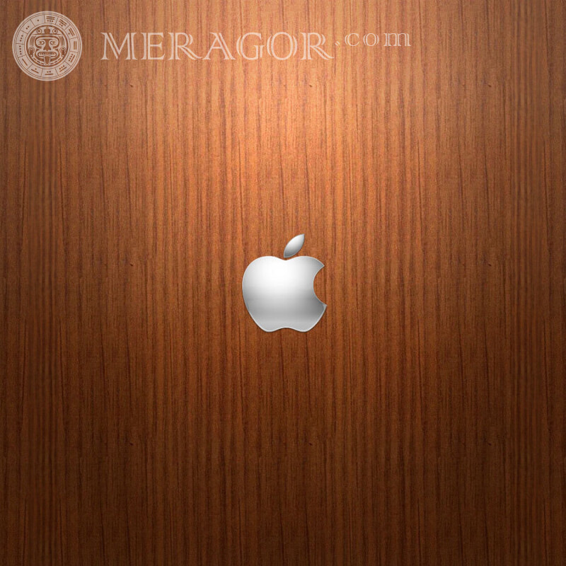 Laden Sie den Avatar mit dem Apple-Markenlogo herunter Logos Technik