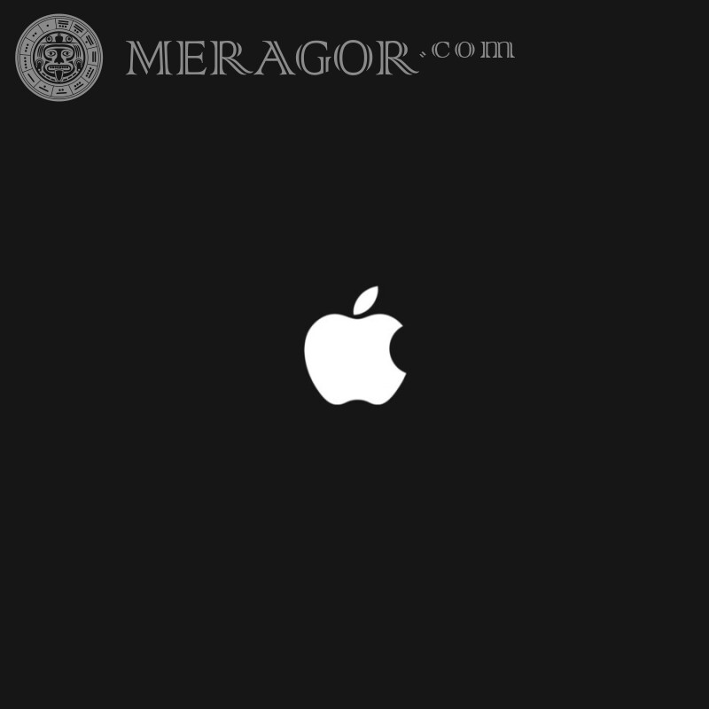 Download the picture with the logo of the Apple brand on the avatar Logos Mechanisms