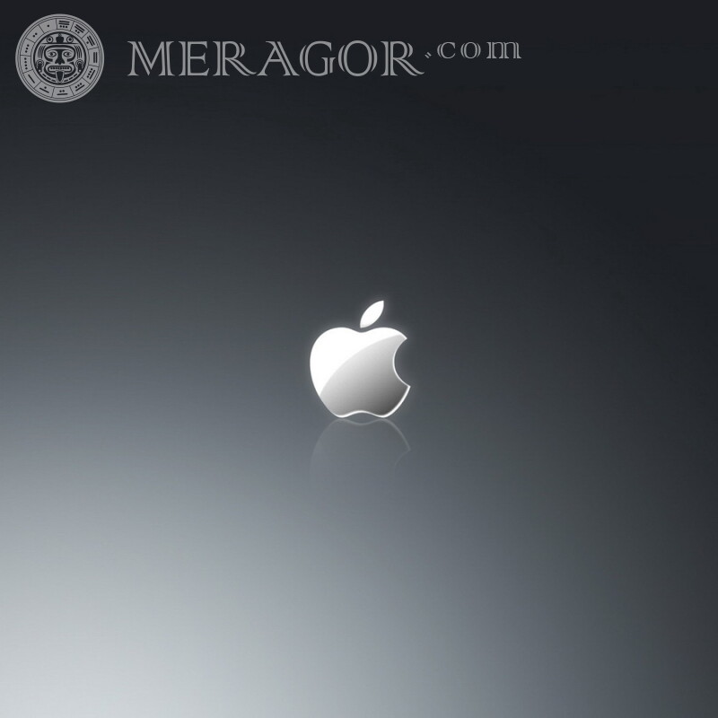 Imagem do logotipo da Apple para avatar Logos Técnica