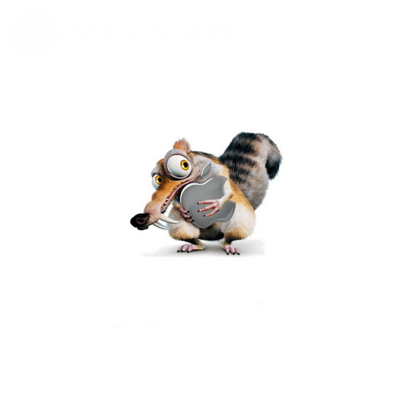 Logotipo da Apple com um esquilo legal no avatar Logos Animais engraçados Técnica