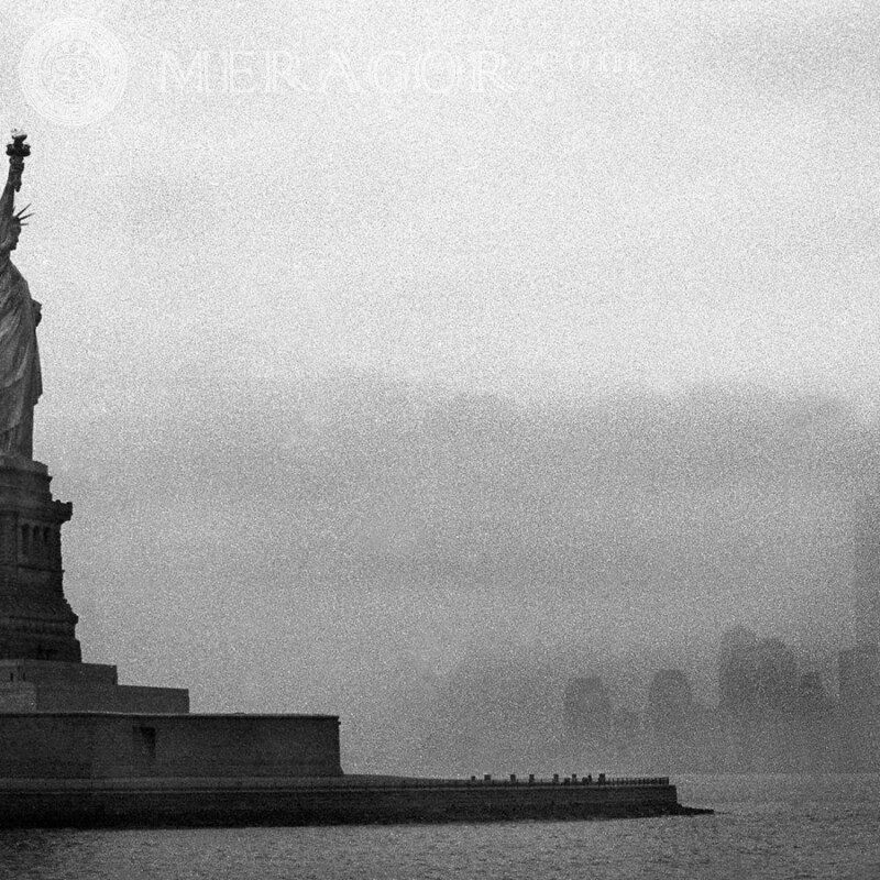 Estatua de la libertad en la niebla Edificios