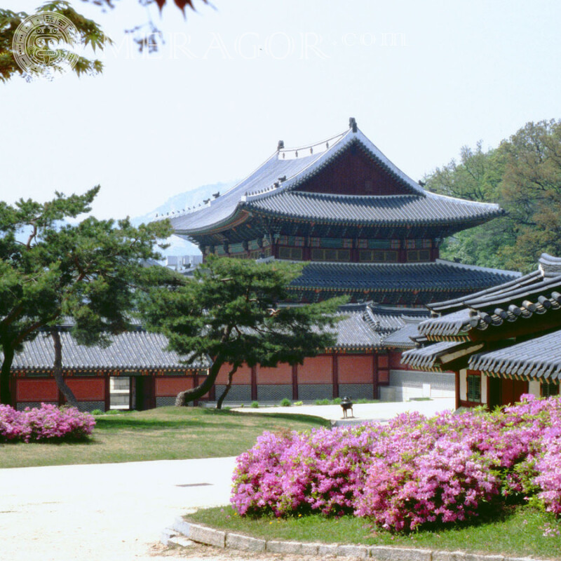 Photo d'avatar de la maison japonaise Bâtiments