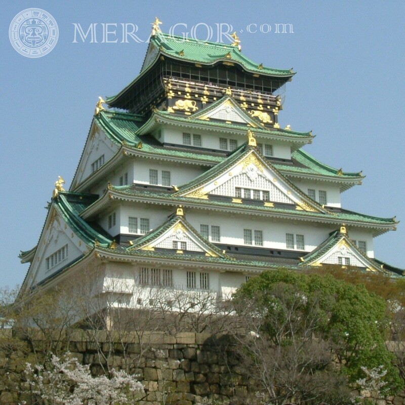 Photo de maison japonaise pagode sur la photo de profil Bâtiments