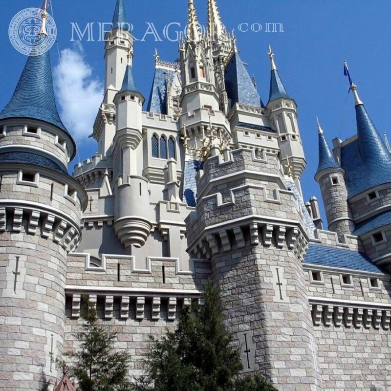 Fairytale castle in Disneyland photo for profile picture Buildings