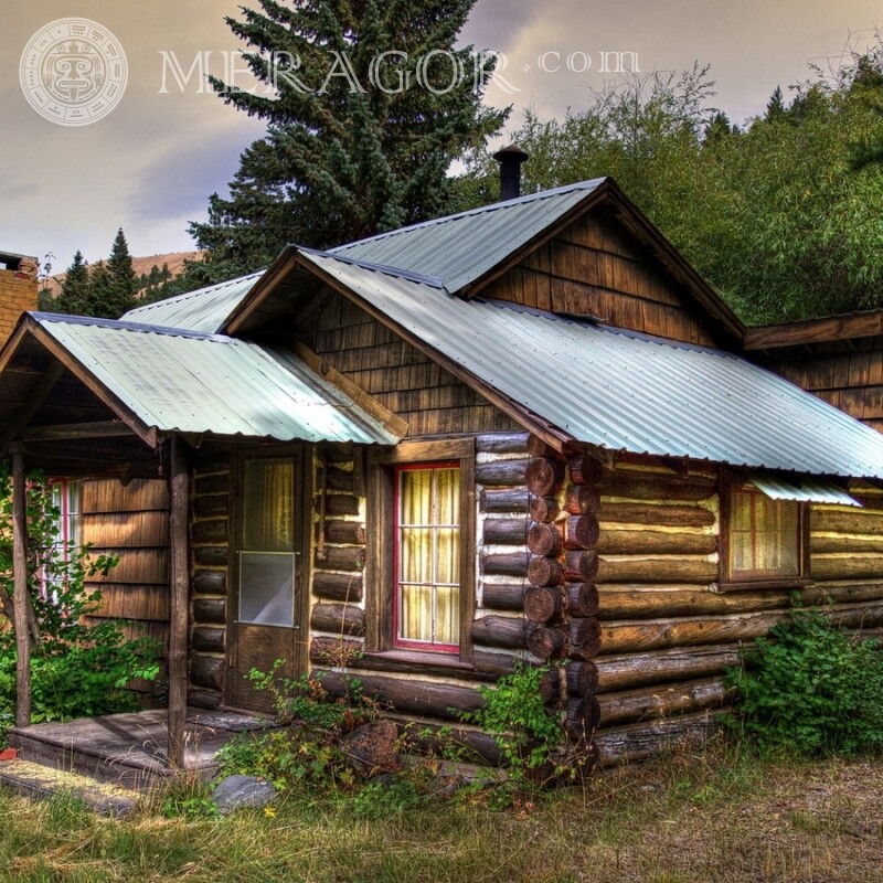 Hütte im Wald auf deinem Profilbild Gebäude