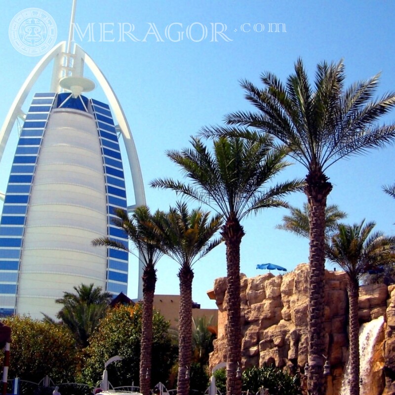 Hotel con palmeras en Dubai avatar Edificios