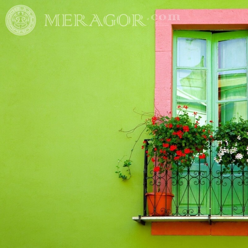 Окно на зеленой стене ава Будівлі