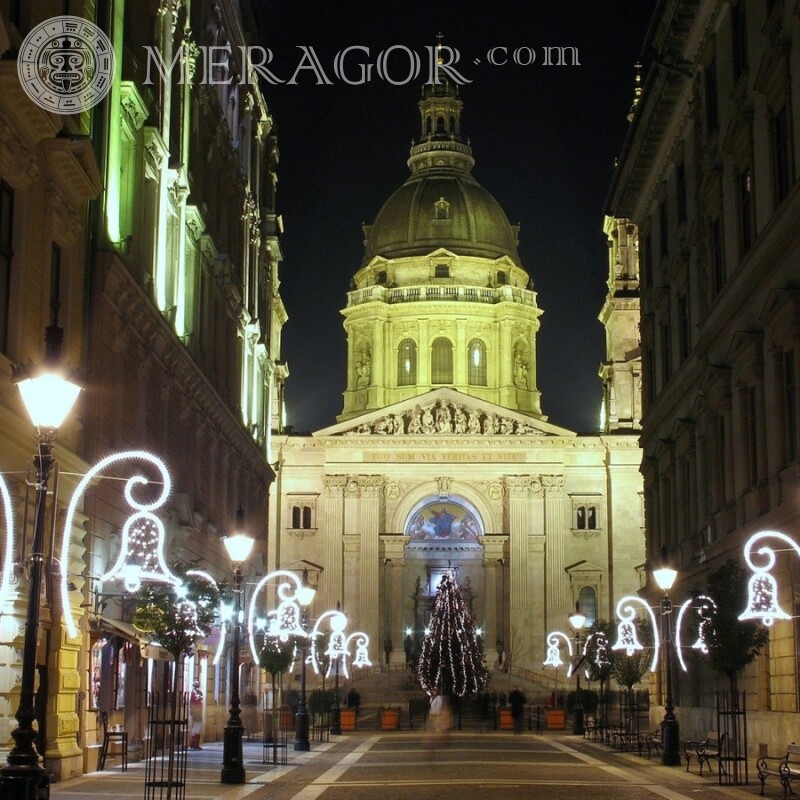 Katholisches Domweihnachtsprofilbild Gebäude Feierzeit