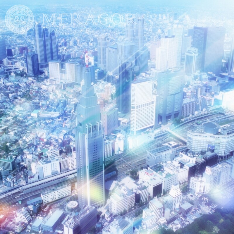 Beautiful city from a height on the avatar download Buildings