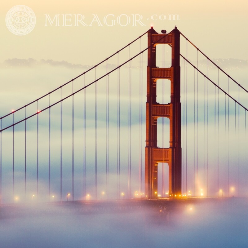 Hängebrücke Golden Gate Download auf Profilbild Gebäude