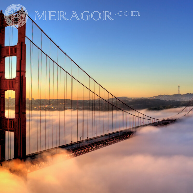 Puente Golden Gate en América en tu foto de perfil Edificios