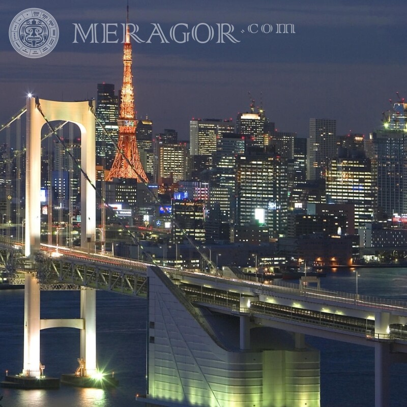 Фото моста на тлі нічного міста аватарка Будівлі