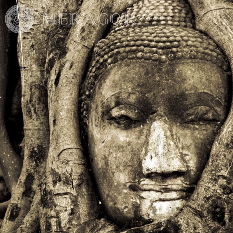 Sculpture du dieu indien sur la photo de profil Bâtiments