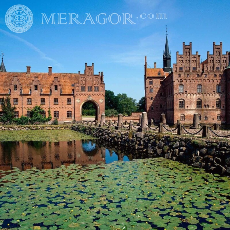 Château médiéval sur votre photo de profil Bâtiments