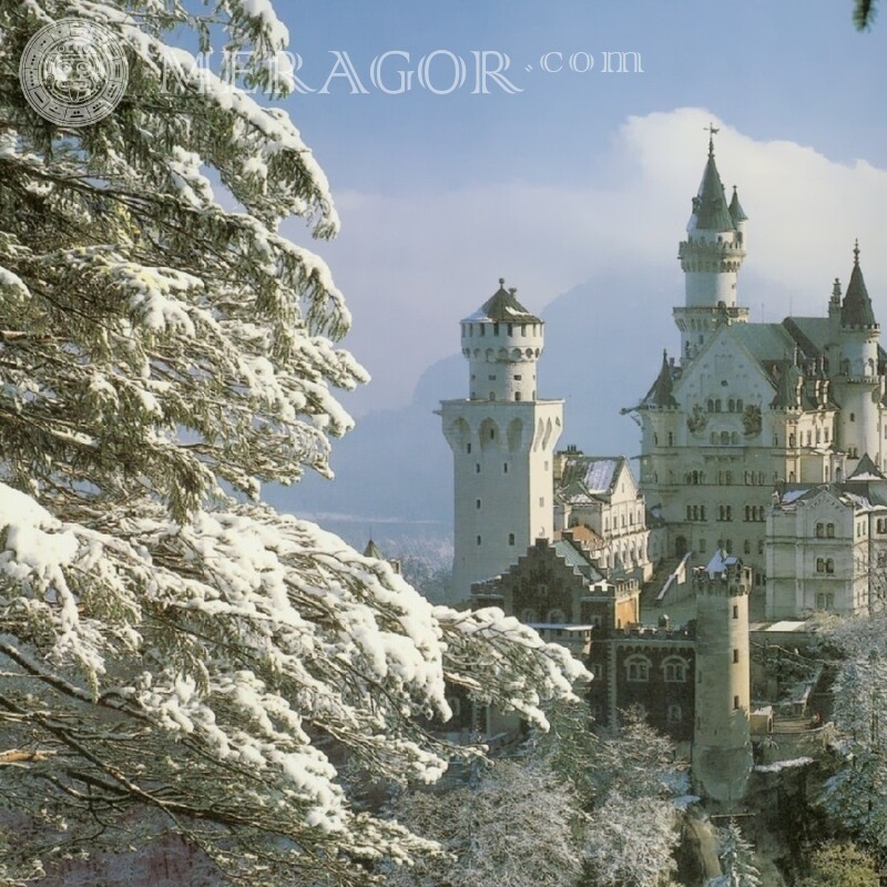Hermoso castillo en foto de invierno para foto de perfil Edificios