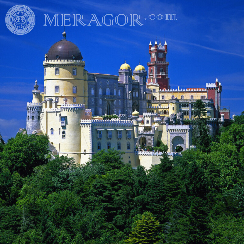 Beautiful castle above the treetops photo Buildings